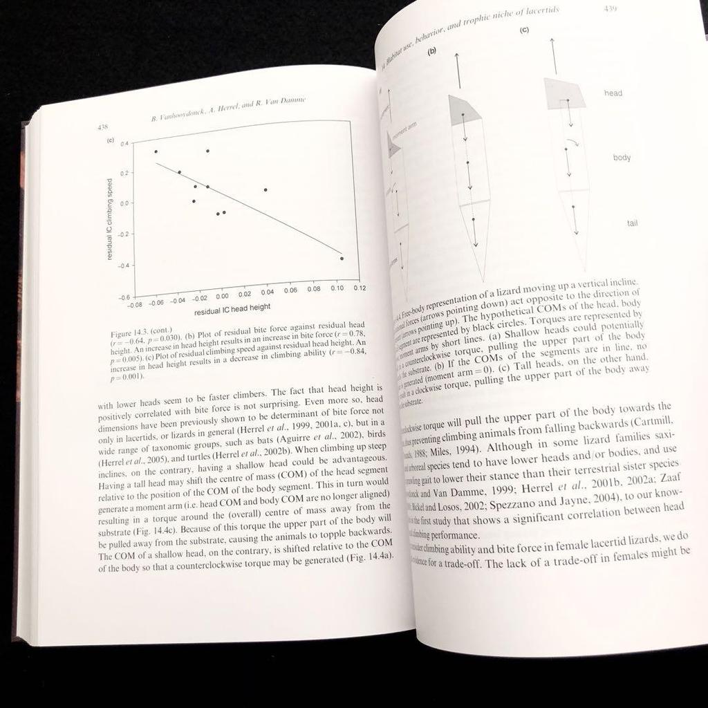 [Б/У] Рептилии: Справочник по экологии ящериц