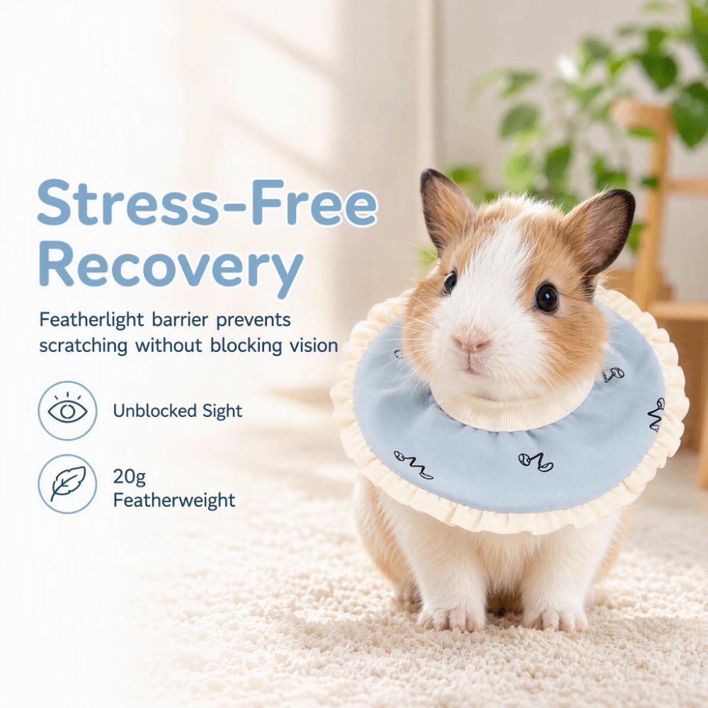 Polyester Pet Recovery Collar Sponge Pet Nursing Ring Convenient Elizabeth Circle Sugar Glider