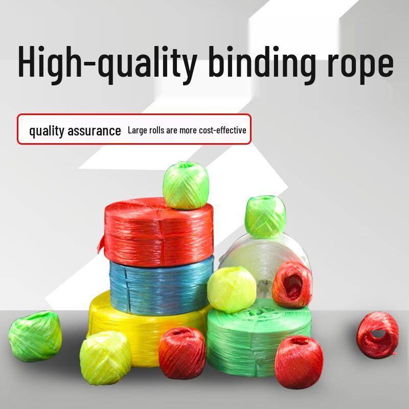 Colorful Plastic Nylon Packing Strap