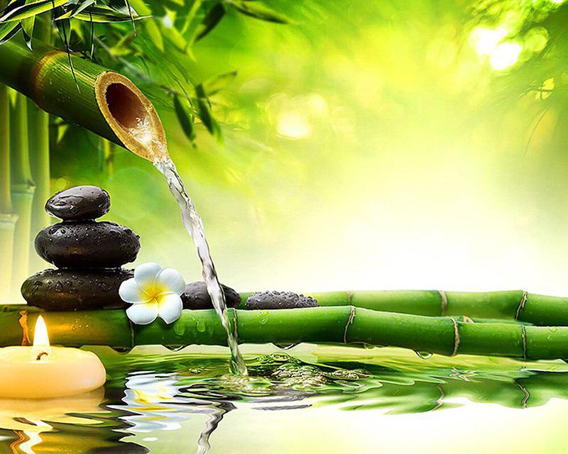 5D DIY Алмазная картина Милая маленькая девочка Пейзаж Фотографии стразов Алмазная вышивка Полный набор Продажа Лиса Животное Алмазная мозаика Ремесленный комплект