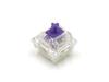 FILCO CHERRY MX2A RGB FILCO Clear Housing 5-Pin Switches, Purple, 70-Pack, Packaging, (for RGB), FKSW70CH/MPU-R