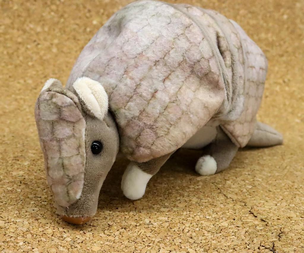 Взлёт Трёхпоясного броненосца