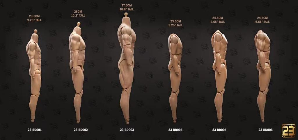 Toy Hobby Action Figure Compatible with COOMODEL Isoprime Body 23TOYS Male Body Action Body Limb [TOYBARJAPAN] 1/6 BD001/02/03/04/05/06 (excluding