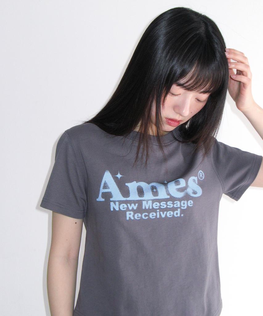 AMES-WORLDWIDE Укороченная футболка с круглым подолом Светло-серый