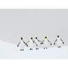 Ben Cranke King Penguins Print