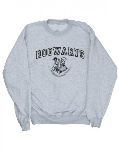 HARRY POTTER Boys Hogwarts Crest Sweatshirt