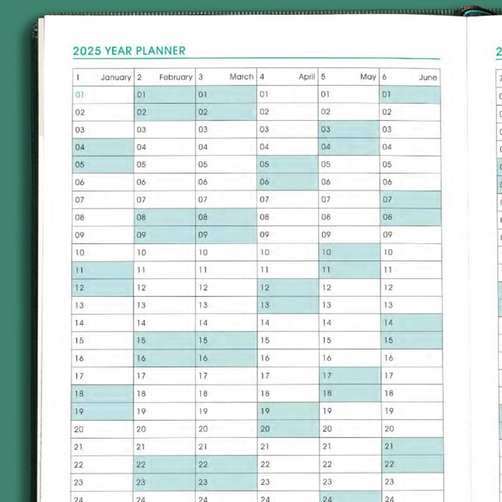 A5 2025 Agenda Book Planner Reminder Daily Planner Portable Schedule Book  Students