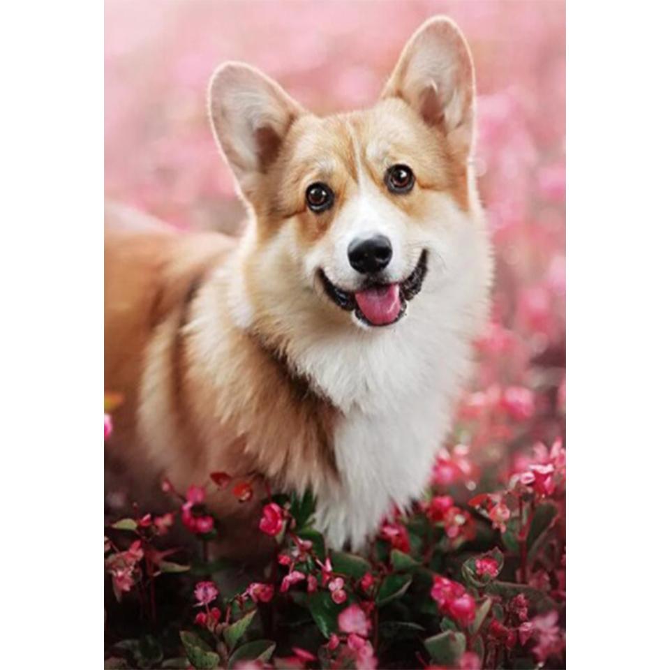 5D DIY алмазная живопись животное собака набор для вышивки крестом полная Алмазная вышивка горный хрусталь подарок украшение дома мозаика художественная картина