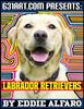 Книга Labrador Retrievers : Interesting Facts About Labradors