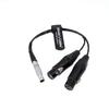Alvin's Cables XLR Breakout Audio Input Input Cable 10 Pin To Dual XLR 3 Pin Female for Atomos Shogun Monitor Recorder