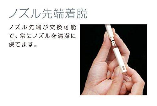 LIXIL INAX Warm Water Wash Toilet Seat Shower Toilet RT Series with Deodorizing Function Off White CW-RT20/BN8