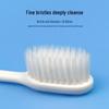 Frog QT161B Adult Soft Bristle Toothbrush 20-Pack