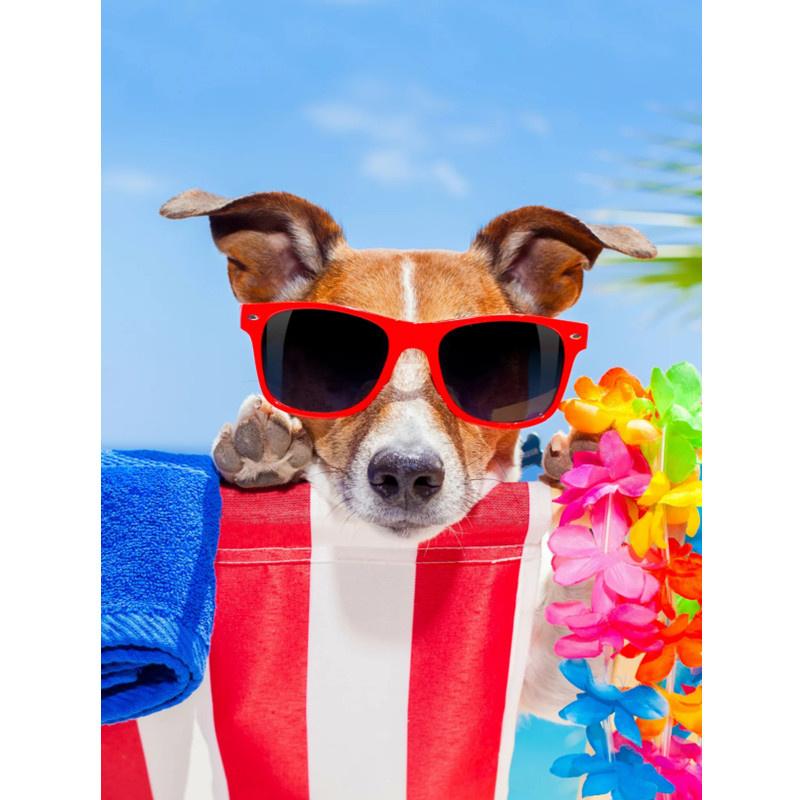 5D DIY Алмазная картина Happy Cool Beach Dog Алмазная вышивка Набор для вышивки крестом Полный горный хрусталь Мозаика Домашний декор
