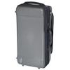 Bags Piston Trumpet Fiber Case, Holds 2 Trumpets, Metallic Gray, EC2TRM M-GREY