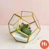 Привет Офис Настольный Дисплей Плантатор Суккуленты Горшок Цветочный Горшок Сказочный Сад Многогранник Стеклянный Геометрический Террариум БонсайПривет