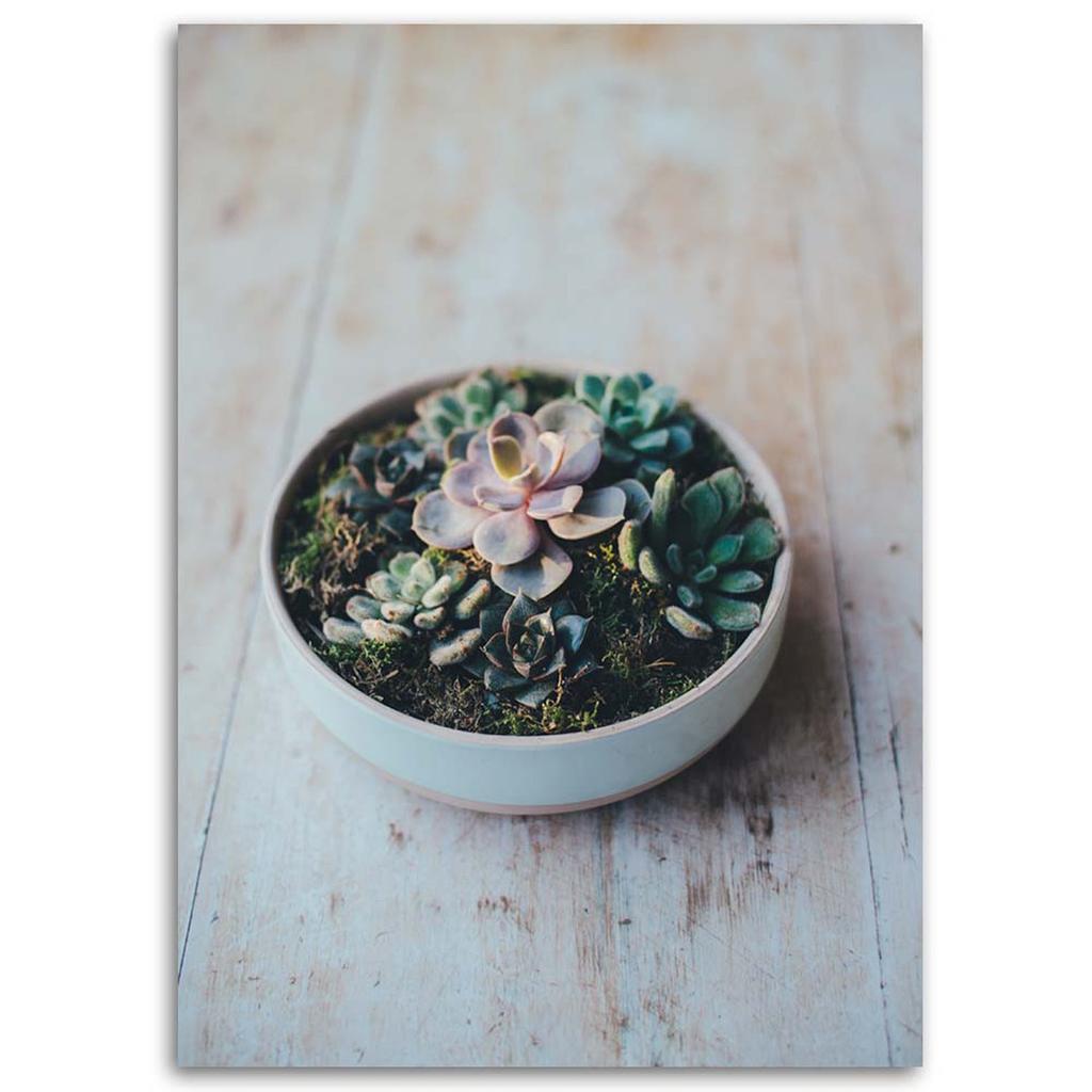 Canvas print, Plants in a pot