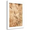 Canvas Print, Grass Nature Meadow