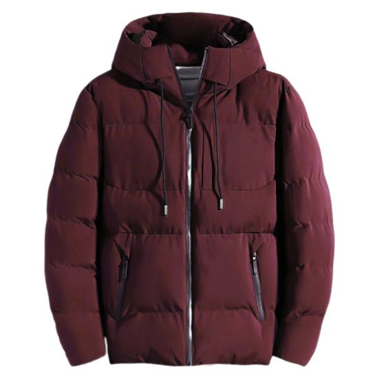 Men Down Jacket Hooded Drawstring Long Sleeve Zipper Closure Jacket Solid Color Two Side Pockets Windproof