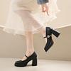 Large Size Women's Shoes Buckle Strap Single Shoes Women's Spring New Retro Versatile Skirt High-heeled Mary Jane Shoes