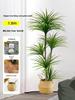 Dragon Blood Tree - Large Indoor Faux Plant for Living Room Decor