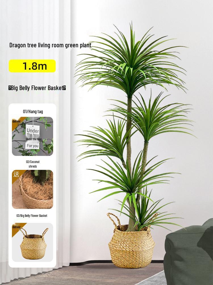 Dragon Blood Tree - Large Indoor Faux Plant for Living Room Decor