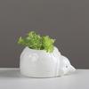 New Desktop Potted Succulent Flower Pot, Gardening Creative Thumb Pot Ceramic Small Flower Pot