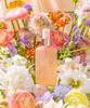[Set] Stay Nude Body Mist 6 Types 100ml (2 Pieces)