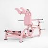 Emai Hack Squat and Leg Press Machine