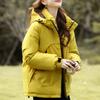 Модное женское пальто Зимние куртки с капюшоном Свободные Толстые Теплые Женские парки