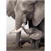 Дикая природа, слон, семейные постеры, холст, картина, животное, отец, мать, ребенок, любовь, настенная живопись для современной комнаты