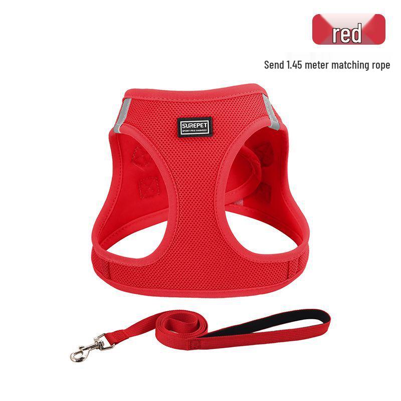 Защитная шлейка и поводок для кошек и маленьких собак - Веревка для прогулок на улице для тедди и бишон-фризе