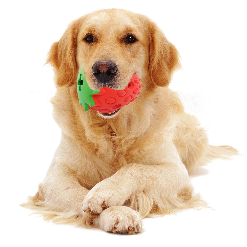Chew Strawberry Dragon Fruit Design Dog Rubber Toy