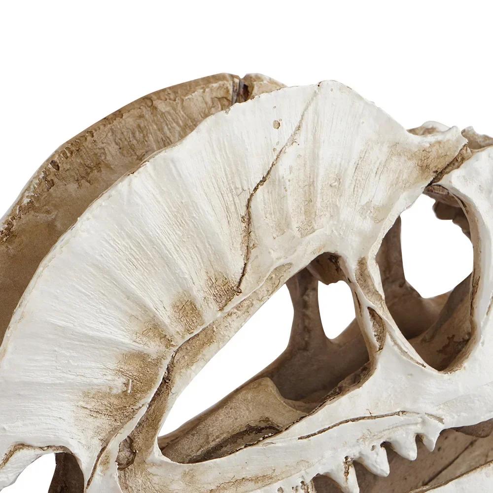 Resin Dinosaur Skeleton Aquarium Decoration Dinosaur Skull Skeleton Ornament Fish Tank Terrarium Decor Halloween Decoration