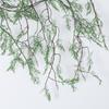 Искусственные зеленые растения Черная костяная лоза Вечнозеленые Гибкие Подвесные искусственные растения Плющ Встроенная проволока DIY Декоративные лианы Сад