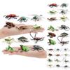 Realistic Pvc Insect Model Set Including Rhinoceros Beetle And Dragonfly For Decoration