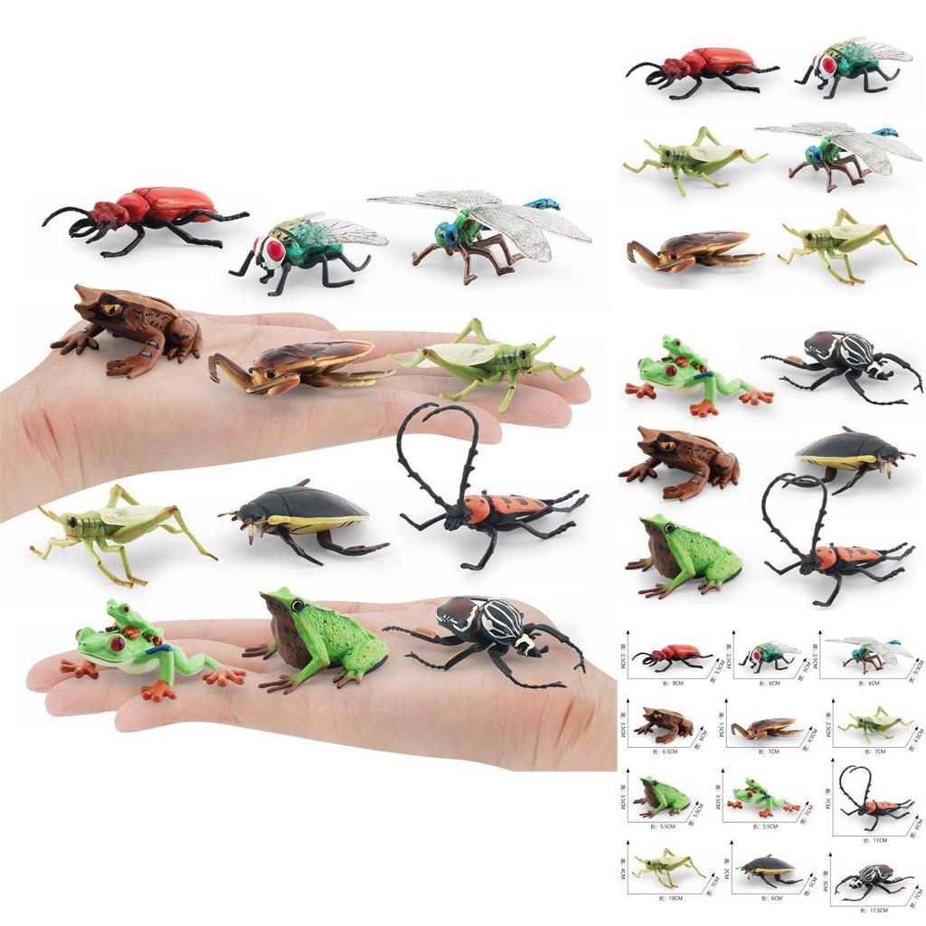 Realistic Pvc Insect Model Set Including Rhinoceros Beetle And Dragonfly For Decoration