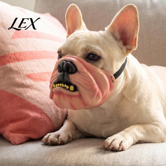 Realistic Pet Props Funny Dog Masque, PU Foam Scary Face Costume, Mouth Latex Headgear Masque with Elastic Band for Dress Up, Holiday Party,