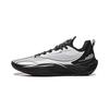 Баскетбольные кроссовки Li Ning Hurricane Low top Мужские Стандартные Белый Черный ABAU083-13