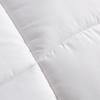 LOVO Warm Ginger Silky Soft Antibacterial Quilt