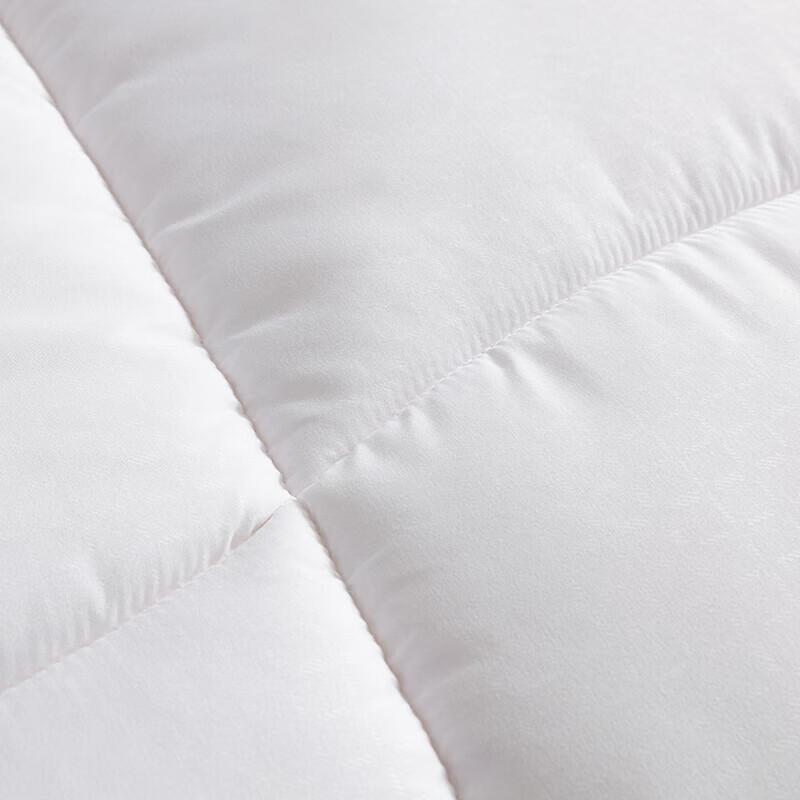 LOVO Warm Ginger Silky Soft Antibacterial Quilt