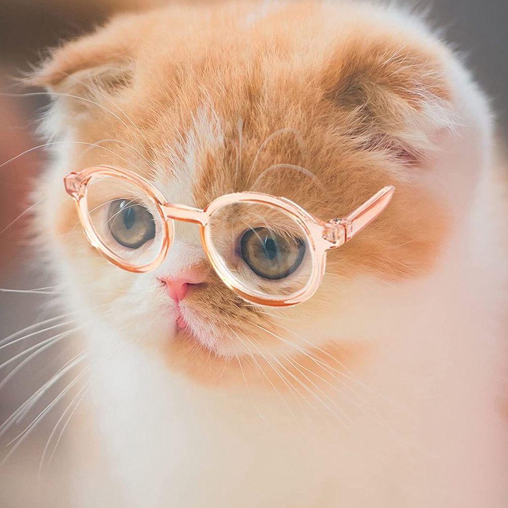Halloween Accessories Pet Sunglasses Pets Party Decor Dog Sunglasses Dog Glasses Dog Eye-Wear