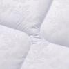 FUANNA Soft Warm Core Quilt