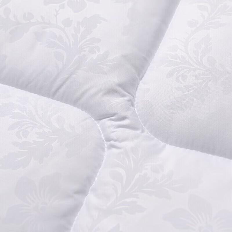 FUANNA Soft Warm Core Quilt