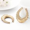 Exaggerated Punk Style Personality Wheat Ear Pattern Oval Earrings