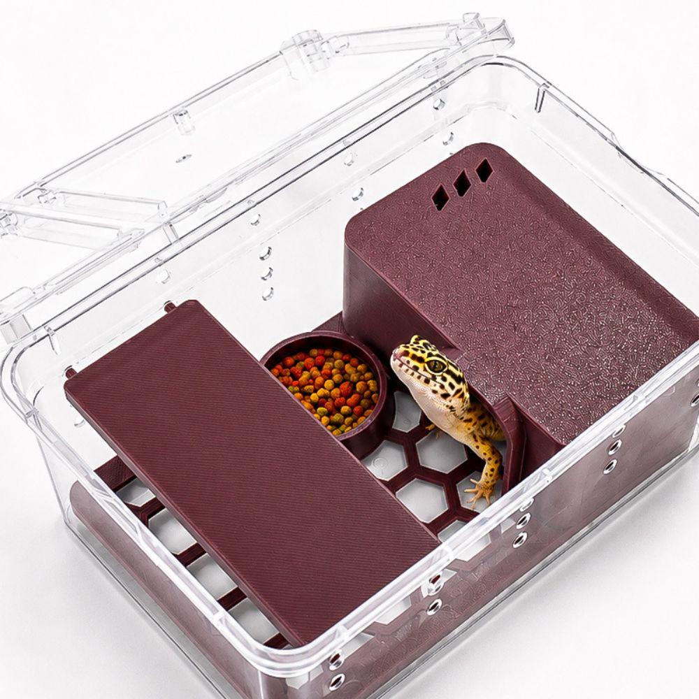 Detachable Gecko Tank Drop-Resistant Lizard Enclosure Reptile Terrarium  Climbing Animals Habitat