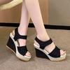Casual Wedges Shoes for Women Sandals Summer Fish Mouth Slope Heel Ladies Shoes Platform High Heels Designer Sandal Comfort 2024