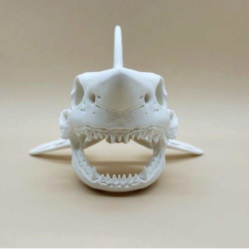 3D Печать Череп Акулы Скелет Косплей Реквизит Украшения для Аквариума Аквариумы, Террариумы Пейзажи для Аквариумов Укрытие для Рыб Креветок