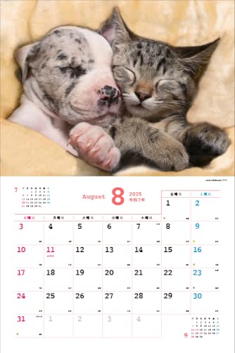 Календарь Накаёши Собаки/Ньян на 2025 год Каждый день – время отдыха > ([Календарь])
