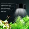 90 Degree Bend Fish Tank Clip Lamp 3 Modes Of Light Color Algae Lamp  Water Grass Growth