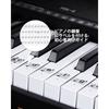 Mini Electronic Keyboard, Stand-Up Keyboard, 61 Keys, 24 Demo Songs, 255 Notes, 255 Rhythms, Built-in LCD Display, Portable, Lightweight, Multifunctio